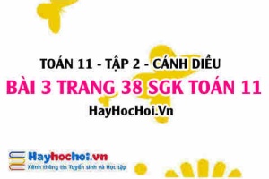 Bài 3 trang 38 Toán 11 tập 2 Cánh Diều